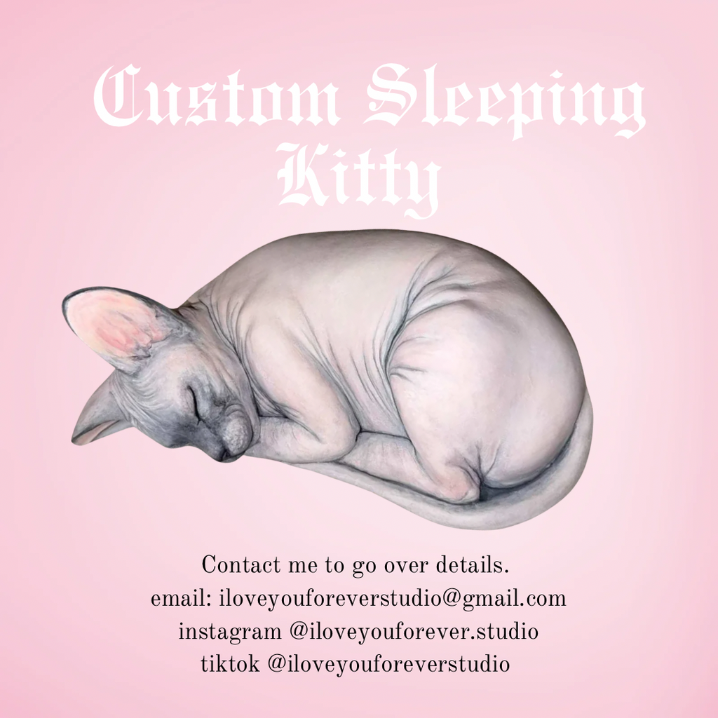 Custom Sleeping Sphynx