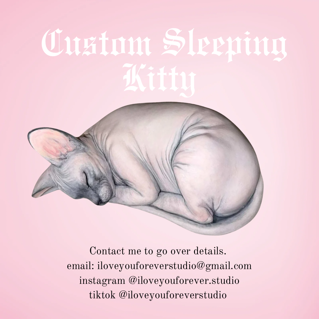 Custom Sleeping Sphynx
