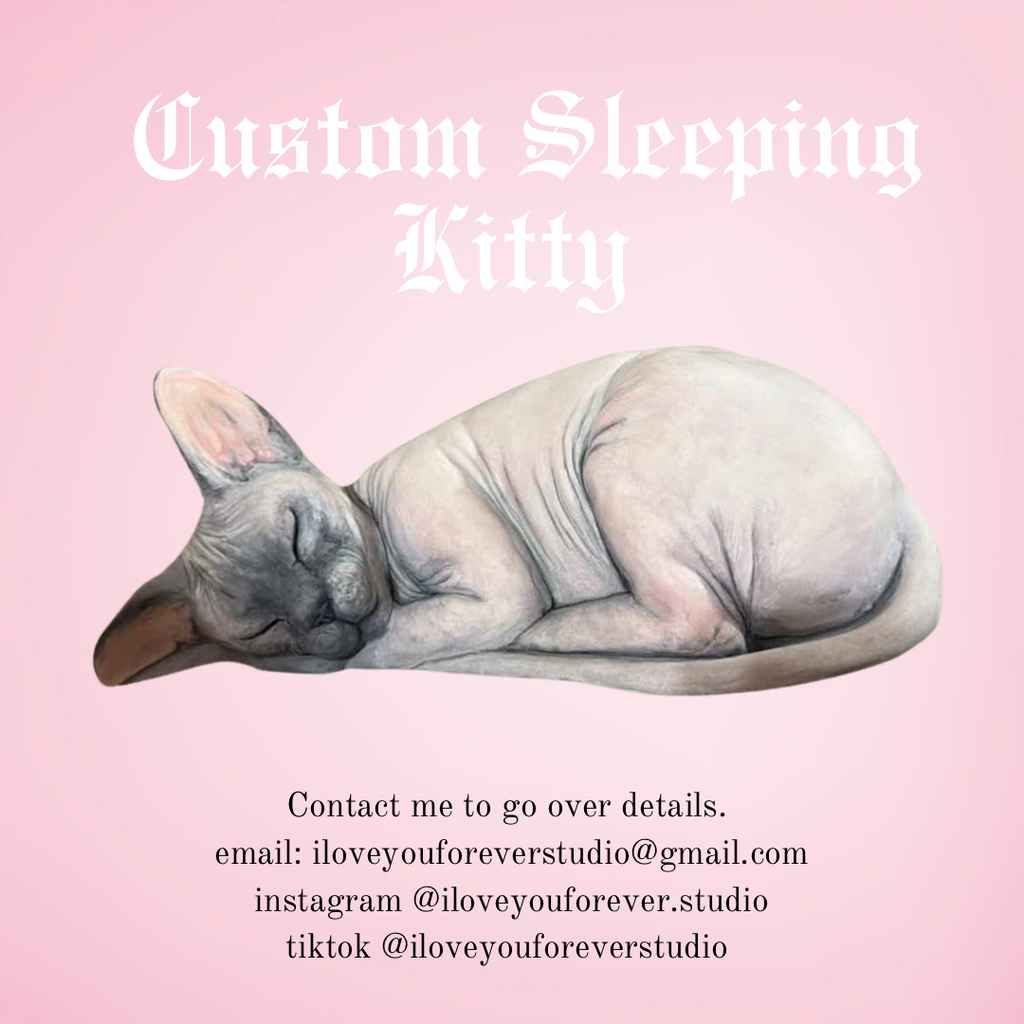 Custom Sleeping Sphynx