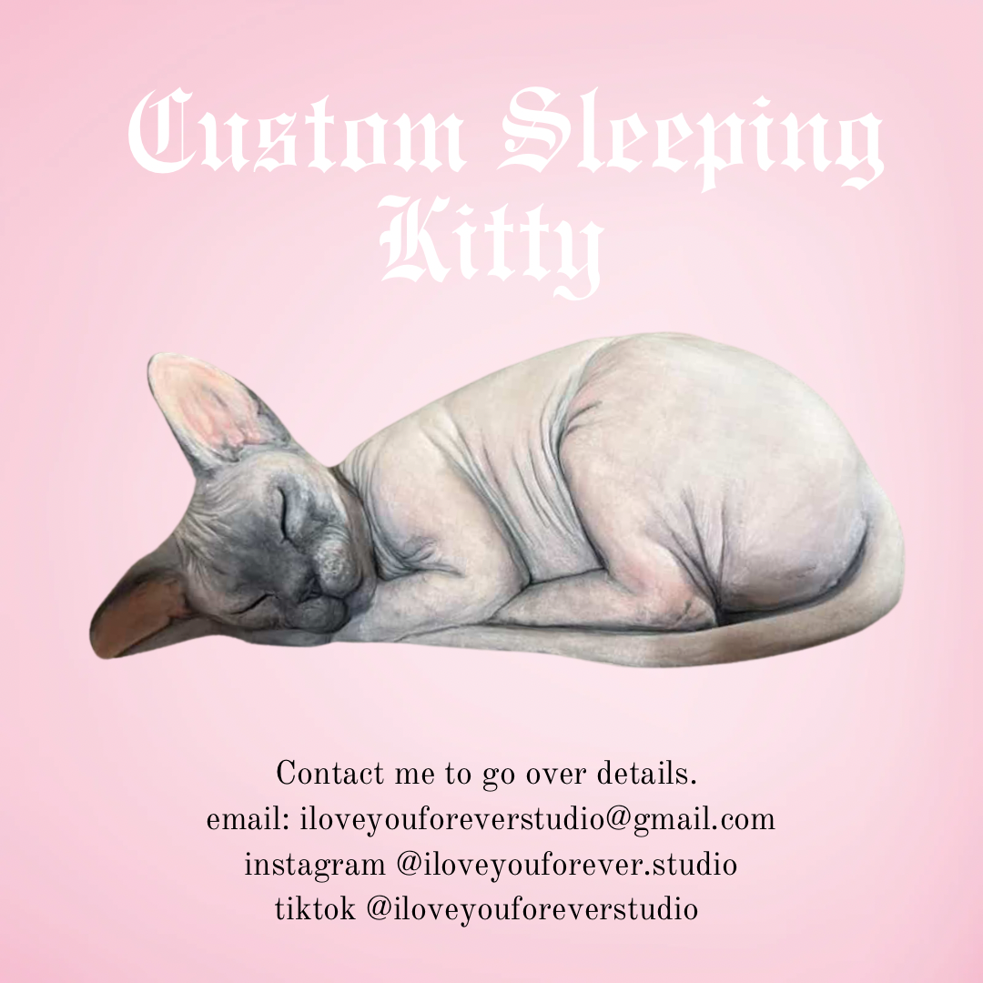 Custom Sleeping Sphynx