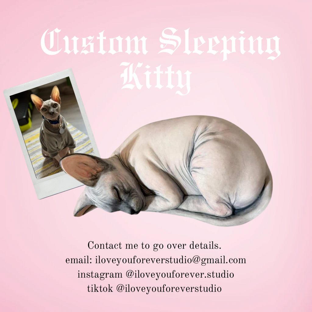 Custom Sleeping Sphynx