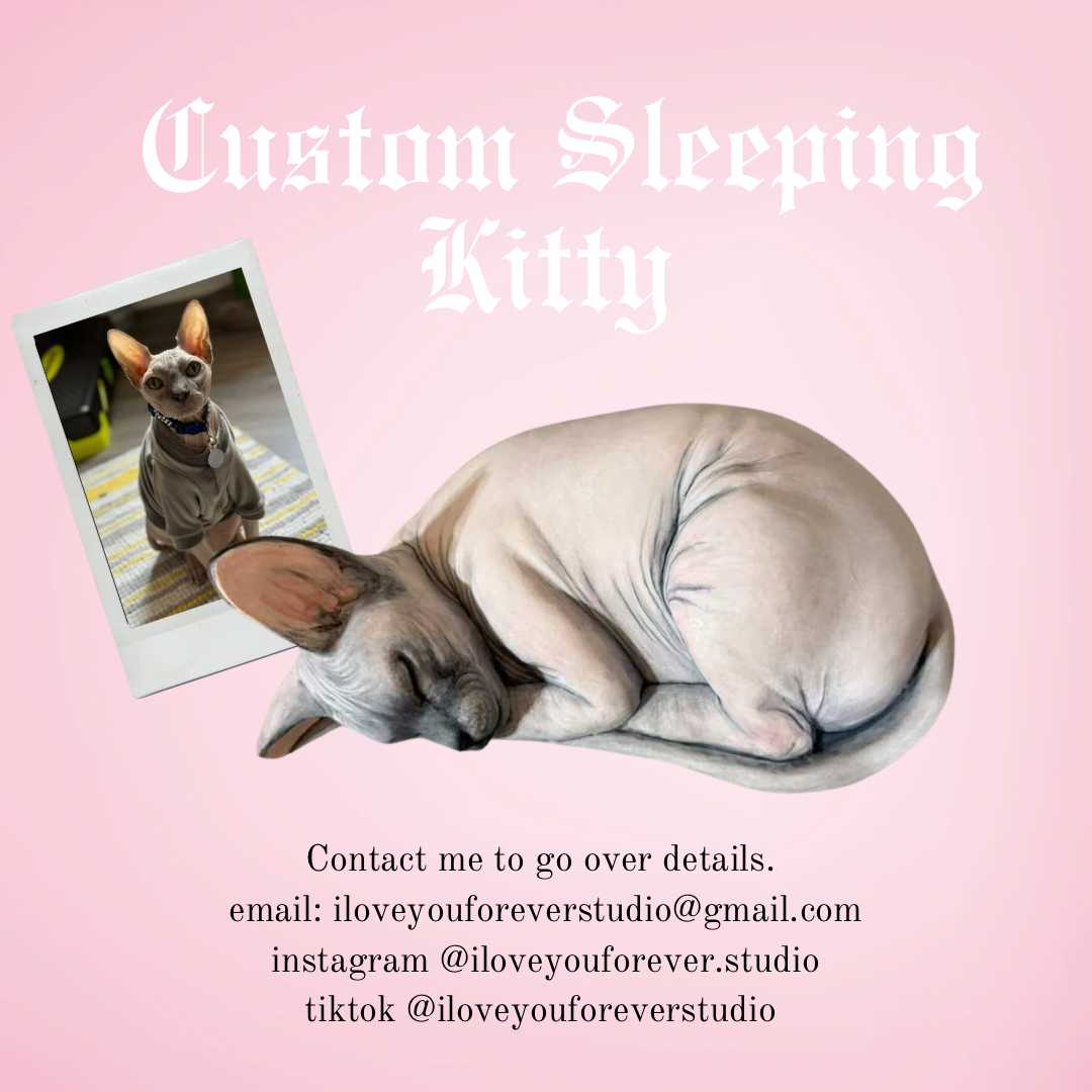 Custom Sleeping Sphynx