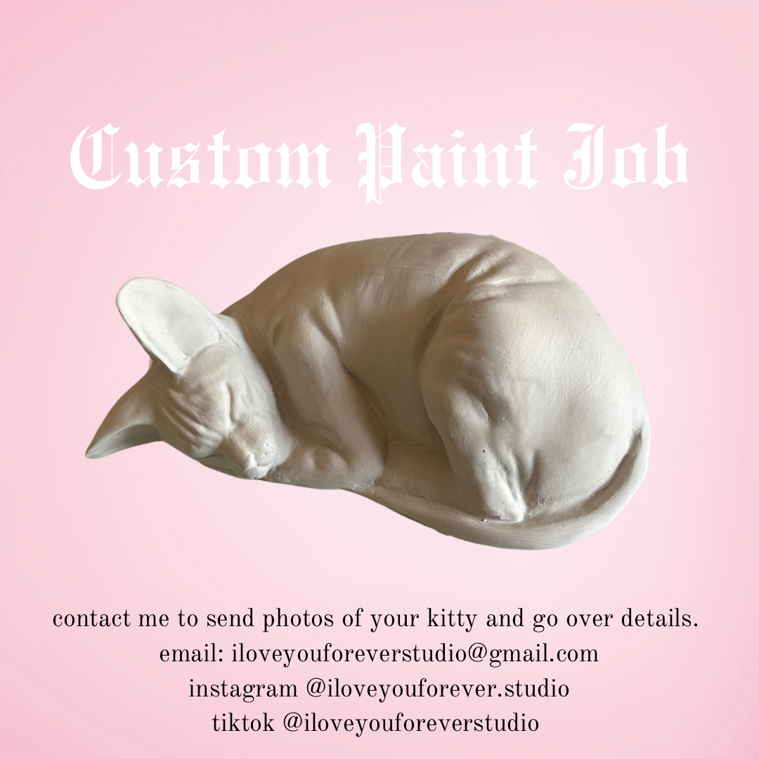 Custom Sleeping Sphynx